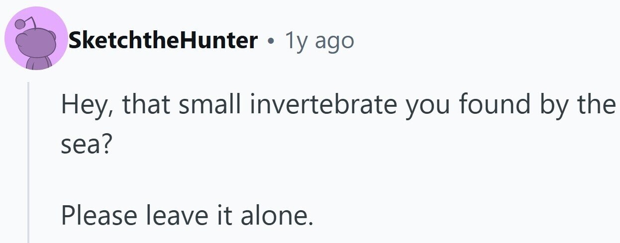 SketchtheHunter . 1y ago Hey, that small invertebrate you found by the sea? Please leave it alone.