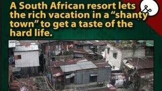 40 Random Bits of Trivia We Stepped in a Ways Back and Can’t Get Off Our Shoe