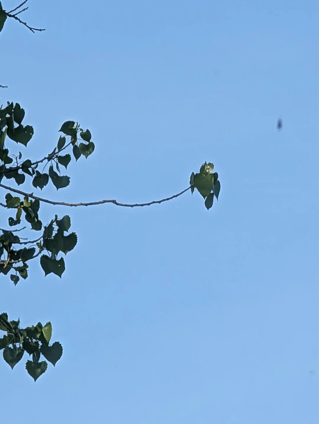 20 Photos Where Things Aren't What They Seem at First