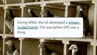 30 Weird Weapons from History