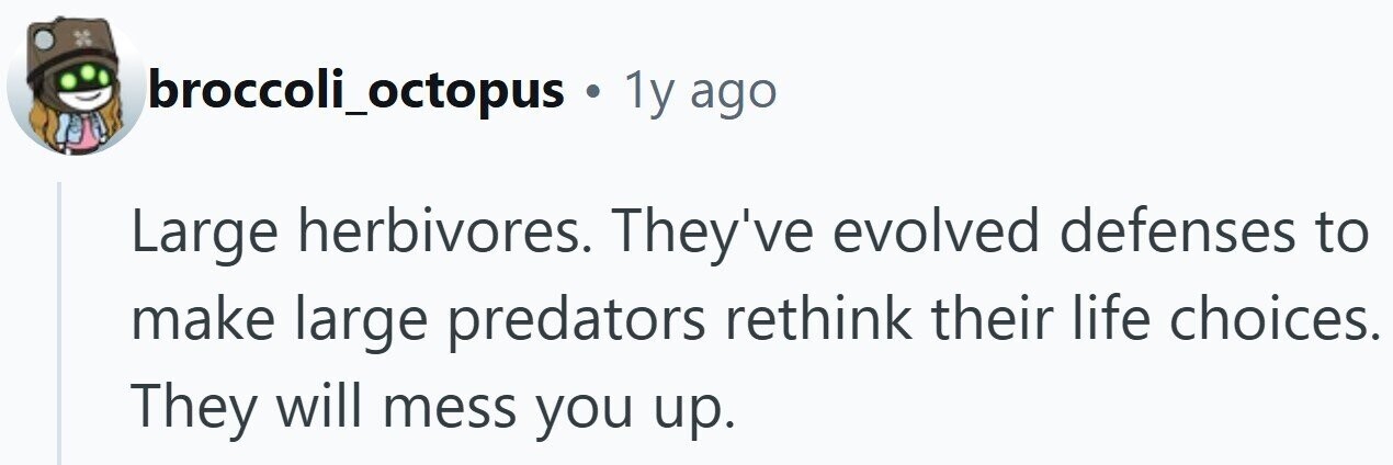 broccoli_octopus . 1y ago Large herbivores. They've evolved defenses to make large predators rethink their life choices. They will mess you up.