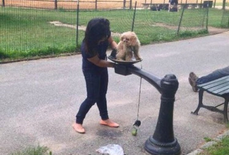 More Things People Know Are Stupid & Do Anyway