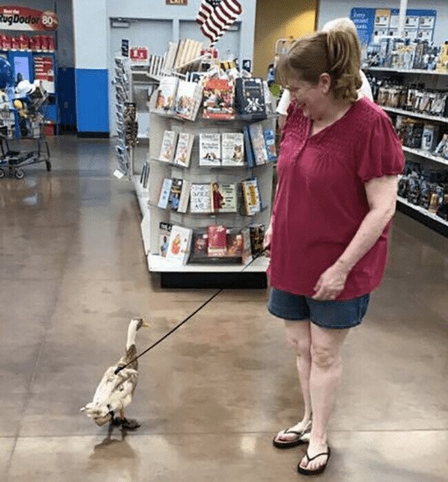 Revealing Photos from the Wild World of Walmart