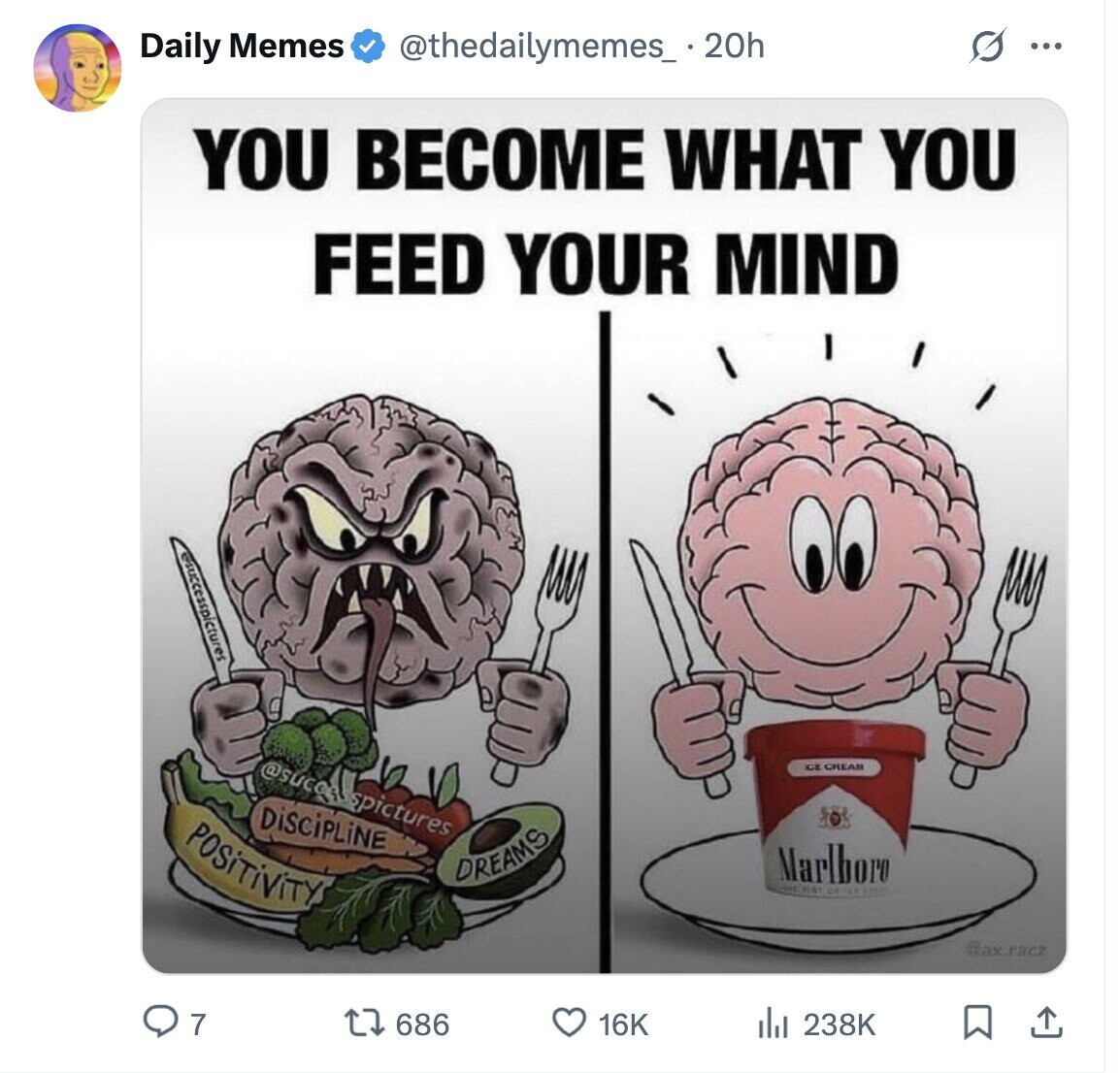 @thedailymemes_ . 20h G Daily Memes ... YOU BECOME WHAT YOU FEED YOUR MIND sspictures @sucock spictures CE CREAM DiSCiPLiNE POSiTiViTY Marlboro DREAMS C# DECENT @ax.racz 7 686 16K del 238K