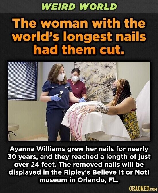 WEIRD WORLD The woman with the world's longest nails had them cut. Ayanna Williams grew her nails for nearly 30 years, and they reached a length of just over 24 feet. The removed nails will be displayed in the Ripley's Believe It or Not! museum in Orlando, FL. CRACKED.COM