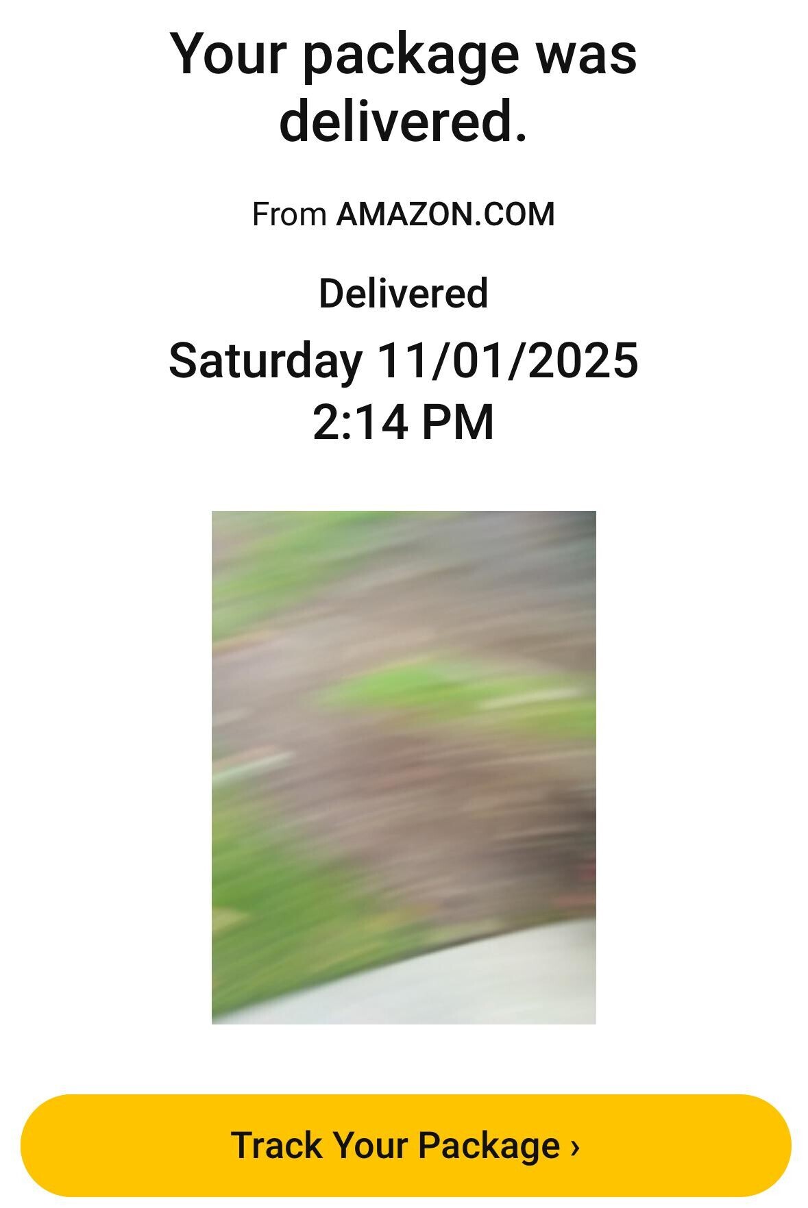Your package was delivered. From AMAZON.COM Delivered Saturday 11/01/2025 2:14 PM Track Your Package>