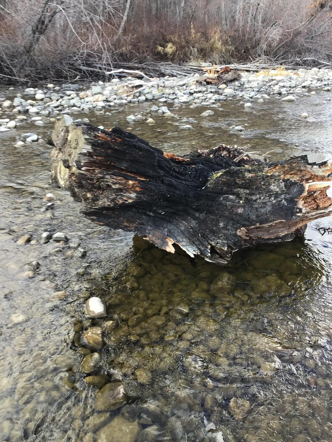 20 Photos Where Things Aren't What They Seem at First