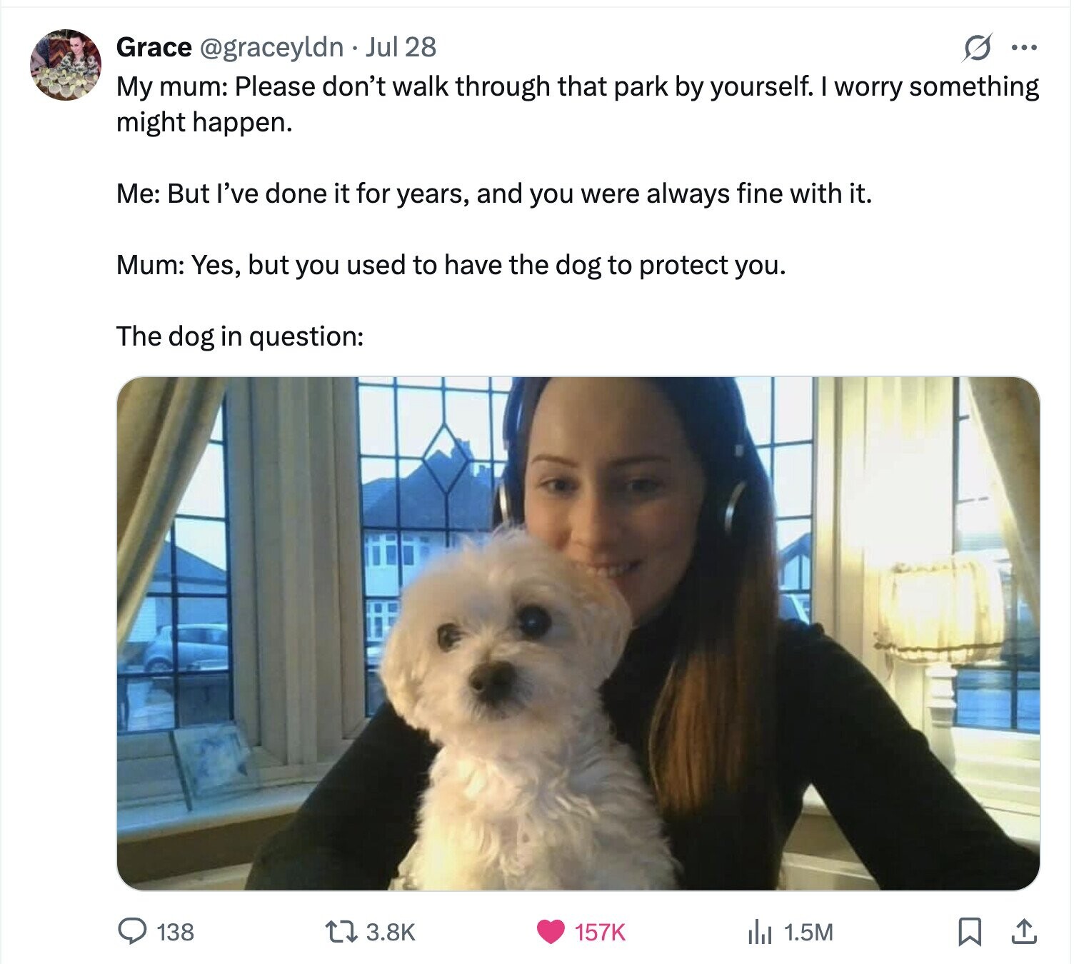 S ... Grace @graceyldn Jul 28 My mum: Please don't walk through that park by yourself. I worry something might happen. Me: But I've done it for years, and you were always fine with it. Mum: Yes, but you used to have the dog to protect you. The dog in question: 138 3.8K 157K 1.5M 