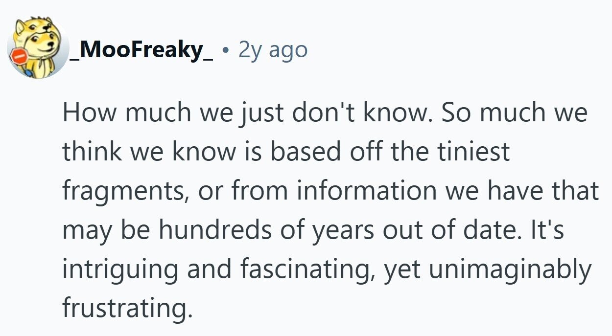_MooFreaky_ . 2y ago How much we just don't know. So much we think we know is based off the tiniest fragments, or from information we have that may be hundreds of years out of date. It's intriguing and fascinating, yet unimaginably frustrating.