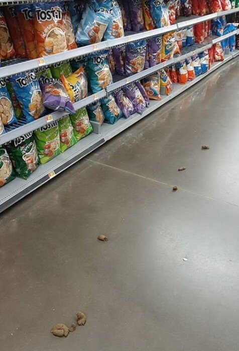 Revealing Photos from the Wild World of Walmart