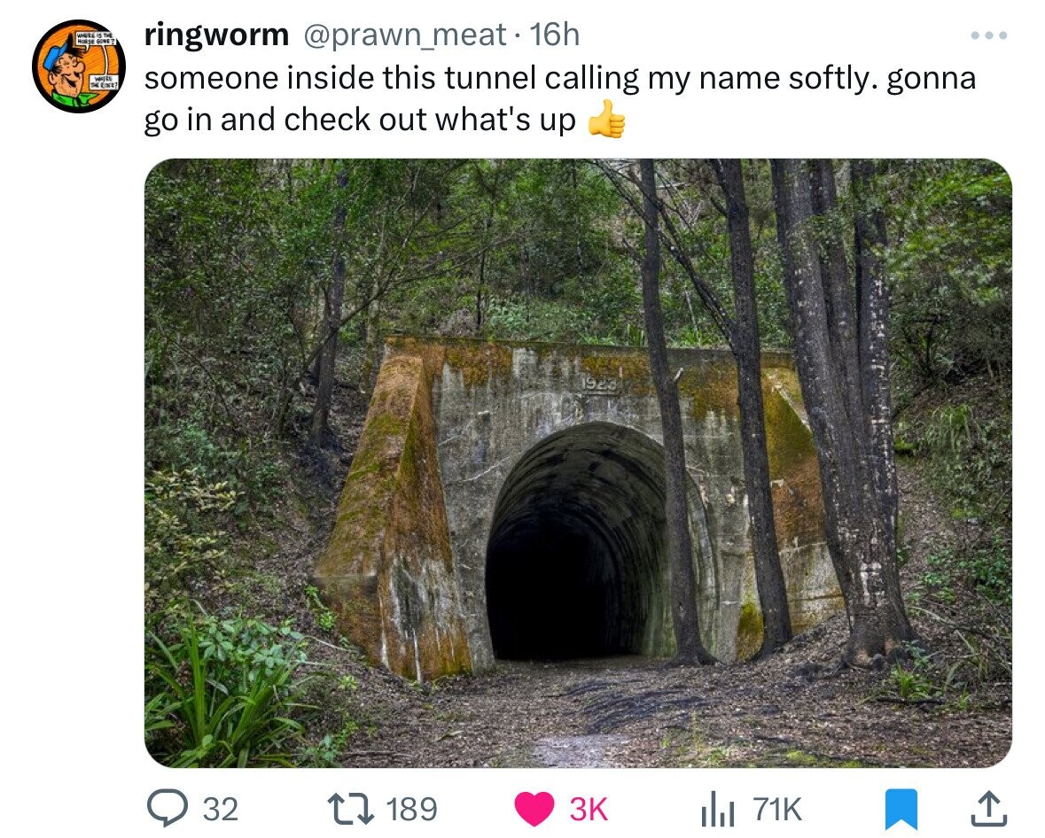 E GONE? ringworm @prawn_meat. 16h ... WHITE 54 EINE? someone inside this tunnel calling my name softly. gonna go in and check out what's up 1923 32 189 3K 71K