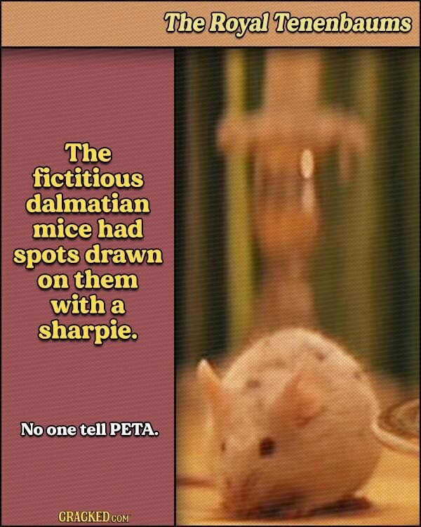 The Royal Tenenbaums The fictitious dalmatian mice had spots drawn on them with a sharpie. No one tell PETA. CRACKED.COM