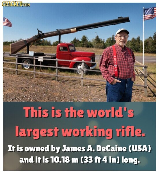 GRAGKED.COM DEAD This is the world's largest working rifle. It is owned by James А. DeCaine (USA) and it is 10.18 m (33 ft 4 in) long.