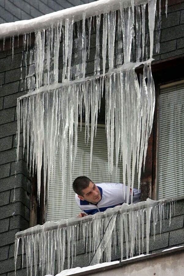 Photos Where Nobody Was Smart Enough to Know Better