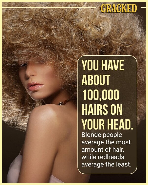 CRACKED YOU HAVE ABOUT 100,000 HAIRS ON YOUR HEAD. Blonde people average the most amount of hair, while redheads average the least.