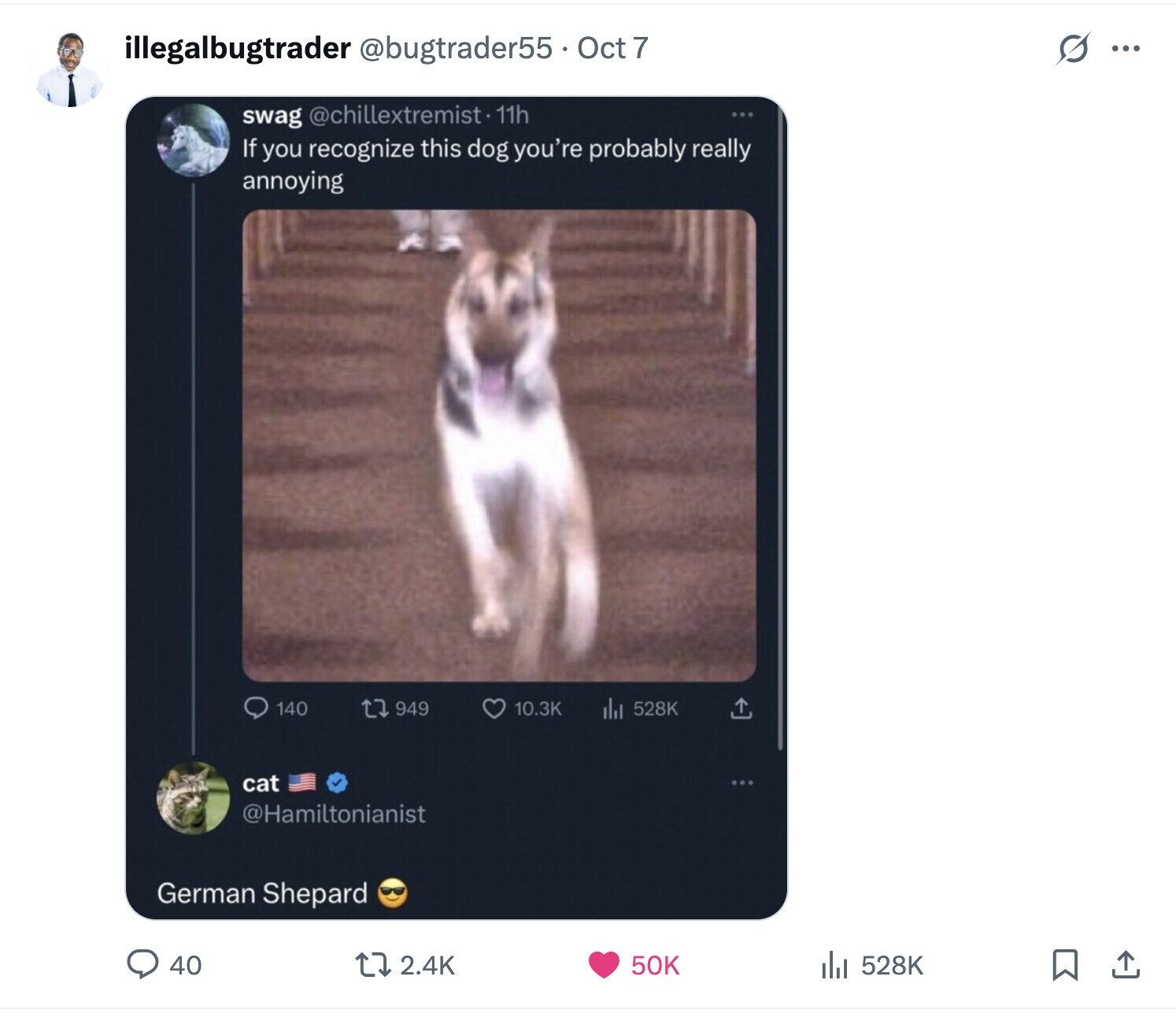 illegalbugtrader @bugtrader55 Oct 7 s ... swag @chillextremist. 11h If you recognize this dog you're probably really annoying 140 949 10.3K 528K cat @Hamiltonianist German Shepard 40 2.4K 50K del 528K 