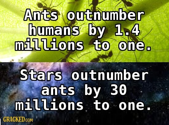 Ants outnumber humans by 1.4 millions to one. Stars outnumber ants by 30 millions to one. CRACKED.COM