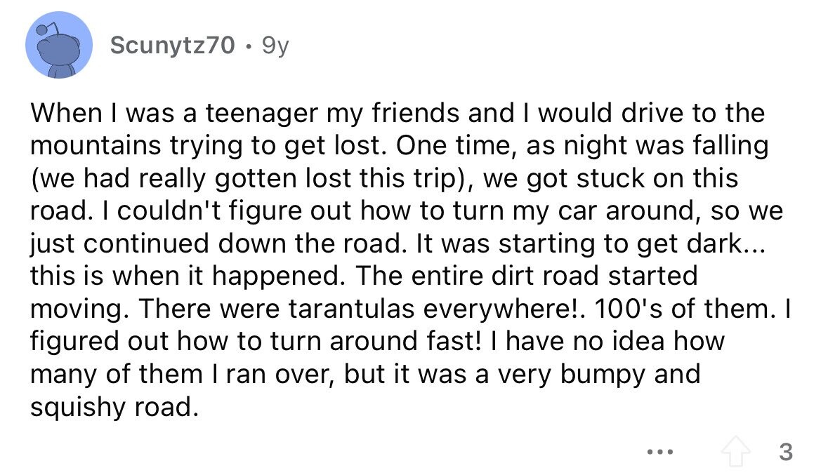 Scunytz70 . S 9y When I was a teenager my friends and I would drive to the mountains trying to get lost. One time, as night was falling (we had really gotten lost this trip), we got stuck on this road. I couldn't figure out how to turn my car around, so we just continued down the road. It was starting to get dark... this is when it happened. The entire dirt road started moving. There were tarantulas everywhere!. 100's of them. I figured out how to turn around fast! I have no idea how many of them I ran over, but