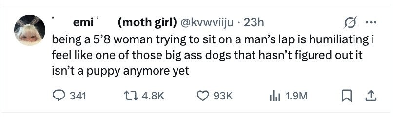 emi (moth girl) @kvwviiju . 23h ... being a 5'8 woman trying to sit on a man's lap is humiliating i feel like one of those big ass dogs that hasn't figured out it isn't a puppy anymore yet 341 4.8K 93K 1.9M