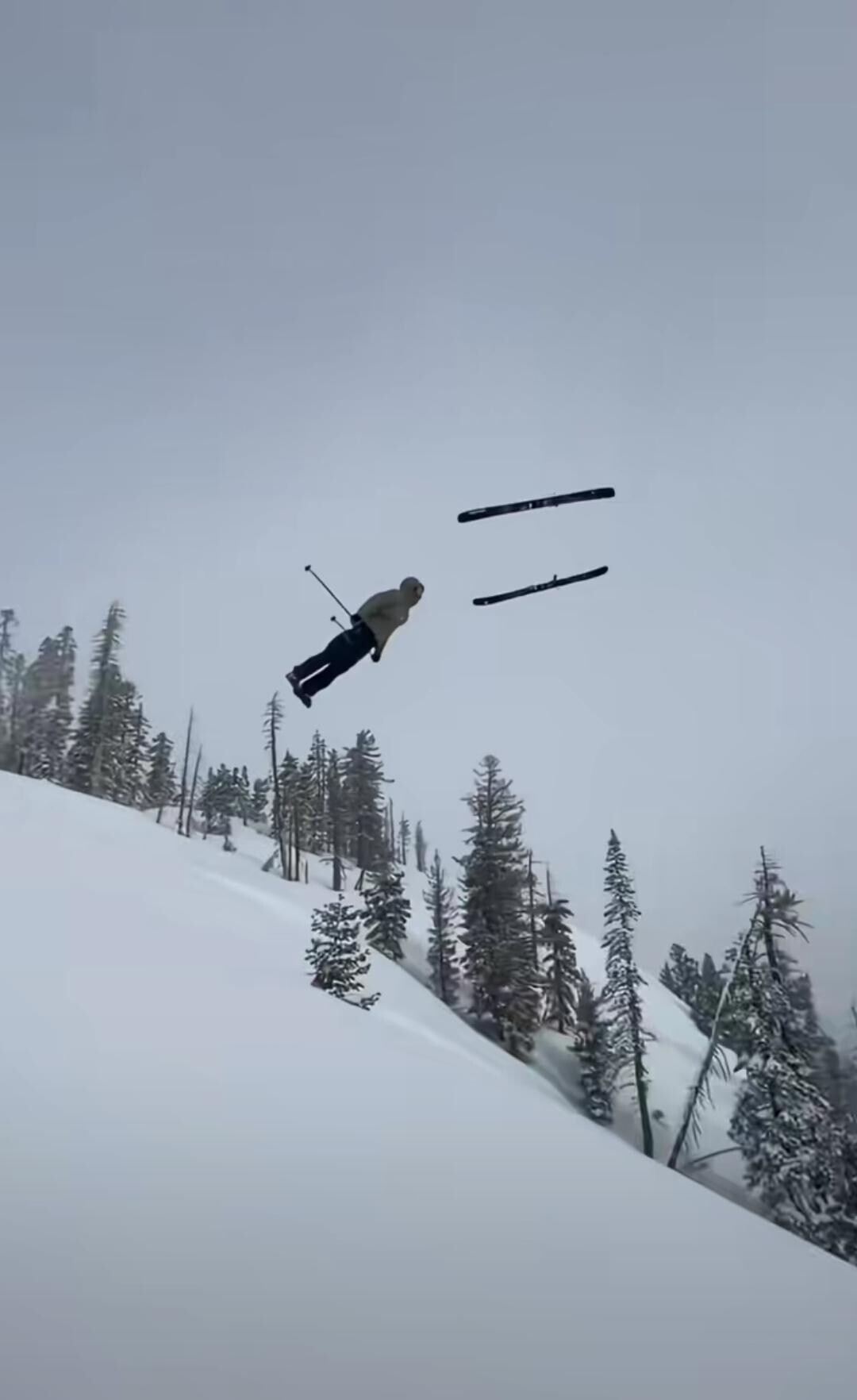 Tk Pics Where Nobody Put a Stop to the Proceedings