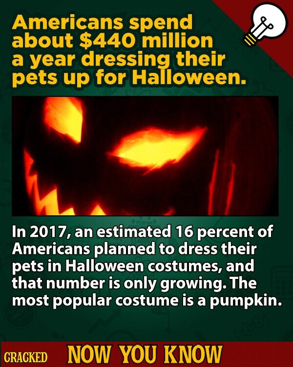 Americans spend about $440 million a year dressing their pets up for Halloween. In 2017, an estimated 16 percent of Americans planned to dress their pets in Halloween costumes, and that number is only growing. The most popular costume is a pumpkin. CRACKED NOW YOU KNOW