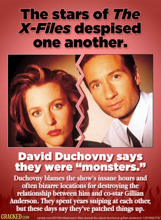 The stars of The X-Files despised one another. David Duchovny says they were monsters. Duchovny blames the show's insane hours and often bizarre locations for destroying the relationship between him and co-star Gillian Anderson. They spent years sniping at each other, but these days say they've patched things up. CRACKED.COM variety.com/2016/tv/features/x-files-revival-fox-david-duchovny-gillian-anderson-1201682379/