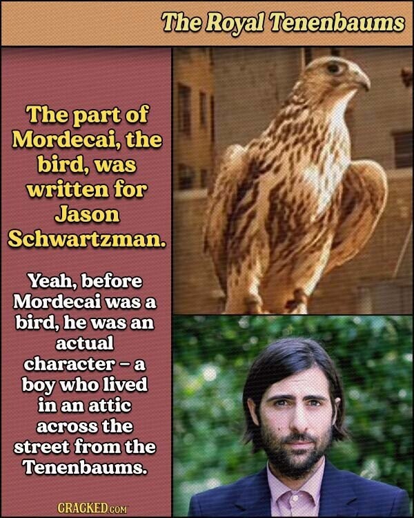 The Royal Tenenbaums The part of Mordecai, the bird, was written for Jason Schwartzman. Yeah, before Mordecai was a bird, he was an actual character-a boy who lived in an attic across the street from the Tenenbaums. CRACKED.COM
