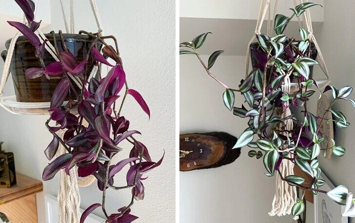 ‘Then’ & ‘Now’ Photos Showing Time Changes Everything