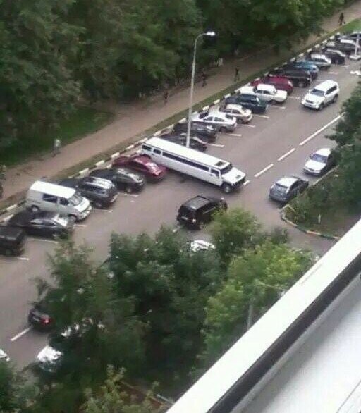 Photos Where Nobody Was Smart Enough to Know Better