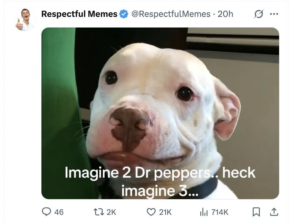 @RespectfulMemes . 2 20h G ... Respectful Memes Imagine 2 Dr peppers.. heck imagine 3... 46 2K 21K del 714K