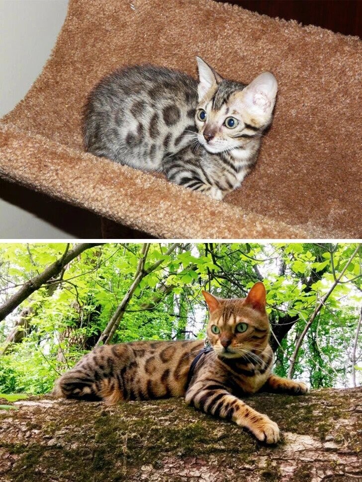 ‘Then’ & ‘Now’ Photos Showing Time Changes Everything