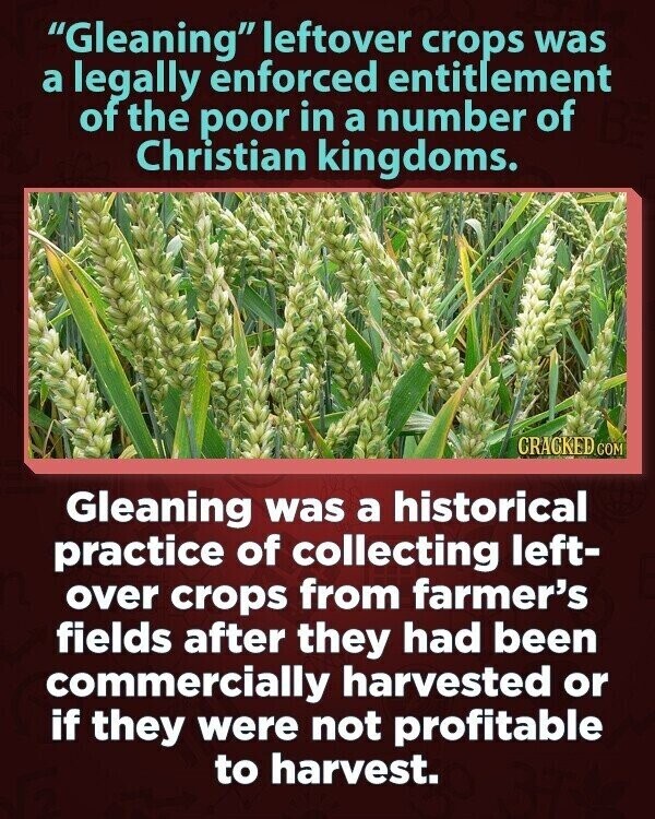 Gleaning leftover crops was a legally enforced entitlement of the poor in a number of Christian kingdoms. CRACKED.COM Gleaning was a historical practice of collecting left- over crops from farmer's fields after they had been commercially harvested or if they were not profitable to harvest.
