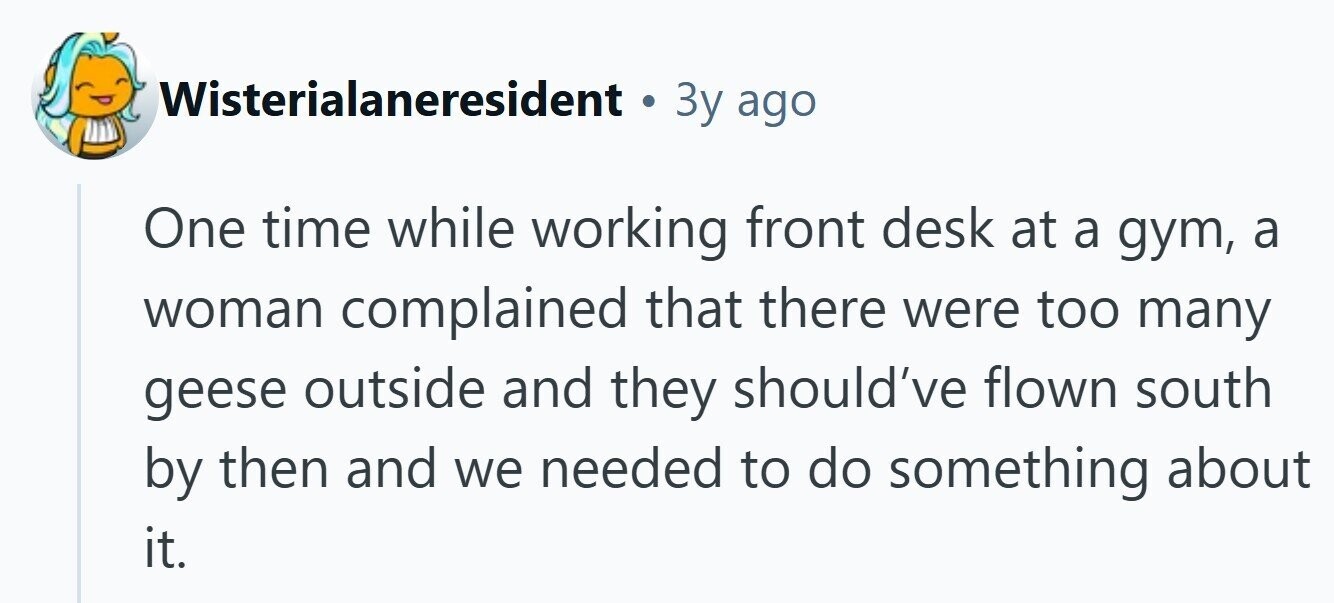 Wisterialaneresident . Зу ago One time while working front desk at a gym, a woman complained that there were too many geese outside and they should've flown south by then and we needed to do something about it.