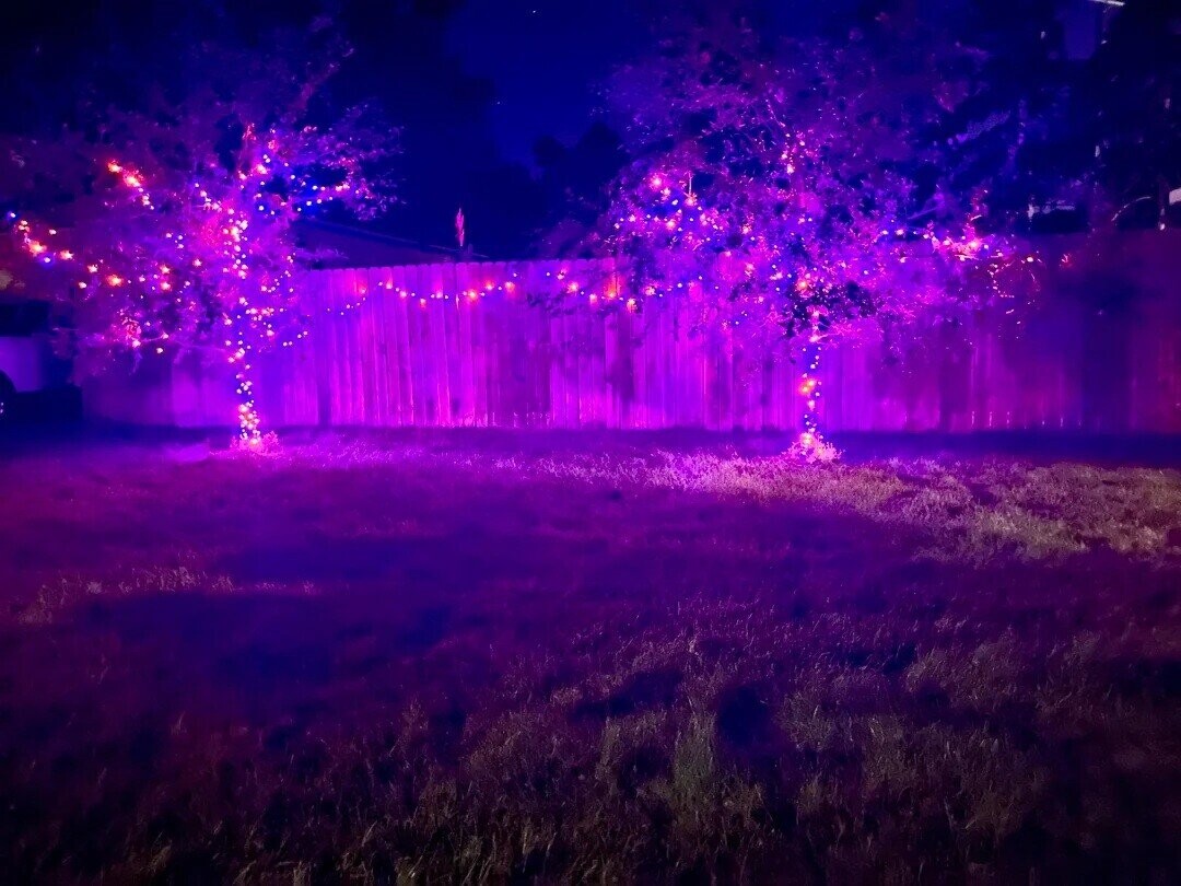 Photos Where the HOA Better Get Involved