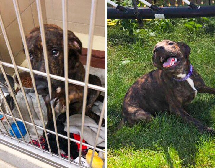 ‘Then’ & ‘Now’ Photos Showing Time Changes Everything