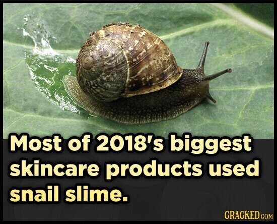 Most of 2018's biggest skincare products used snail slime. CRACKED.COM