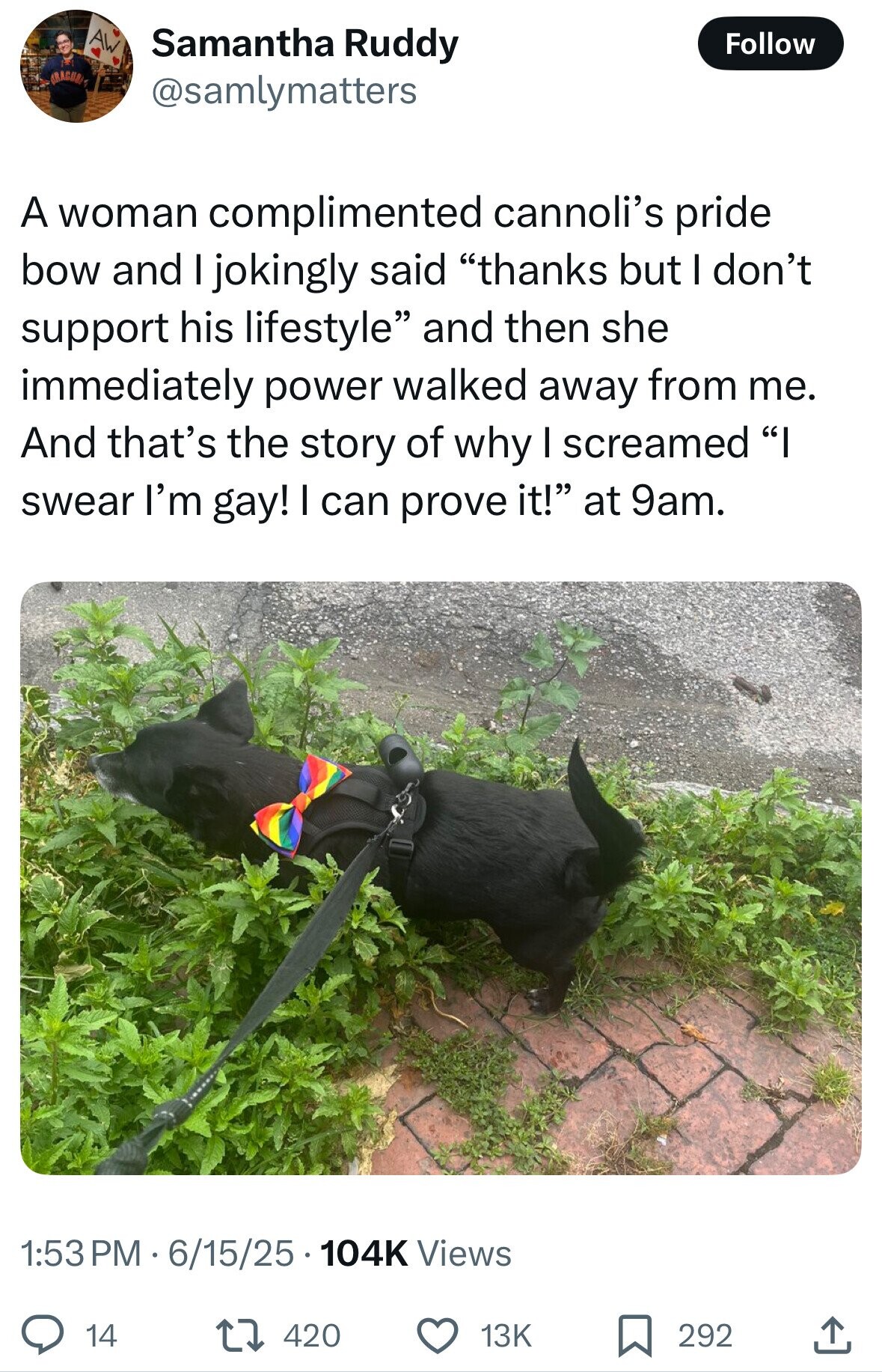 AW Samantha Ruddy Follow GRACURI @samlymatters A woman complimented cannoli's pride bow and I jokingly said thanks but I don't support his lifestyle and then she immediately power walked away from me. And that's the story of why I screamed I swear I'm gay! I can prove it! at 9am. 1:53PM 6/15/25.1 104K Views 420 14 13K 292