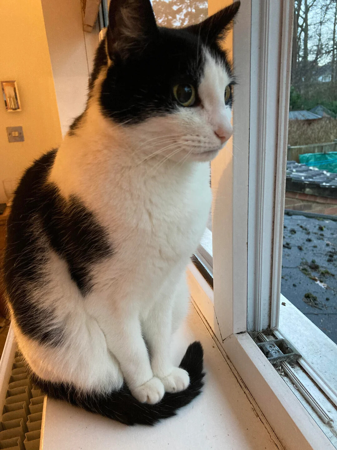 Photos Where Not Everything is as it Seems