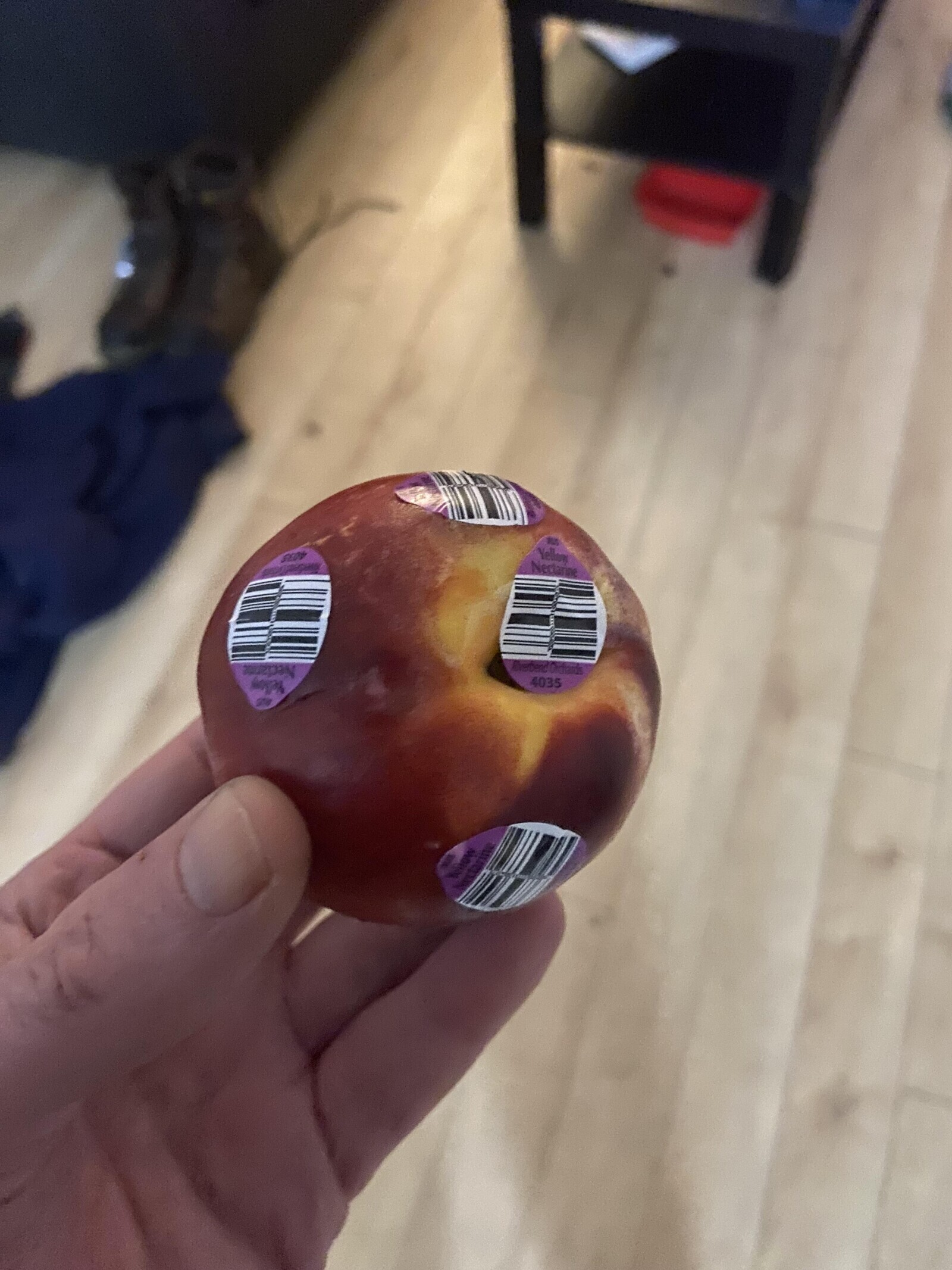 JELS Yellow SEO Nectarine Nectarine Breebend Orchands Yellow 4035 20