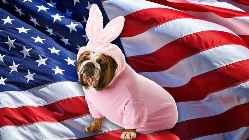 36 Ridiculous Customs, Traditions and Cultural Quirks That Only Make Sense Stateside