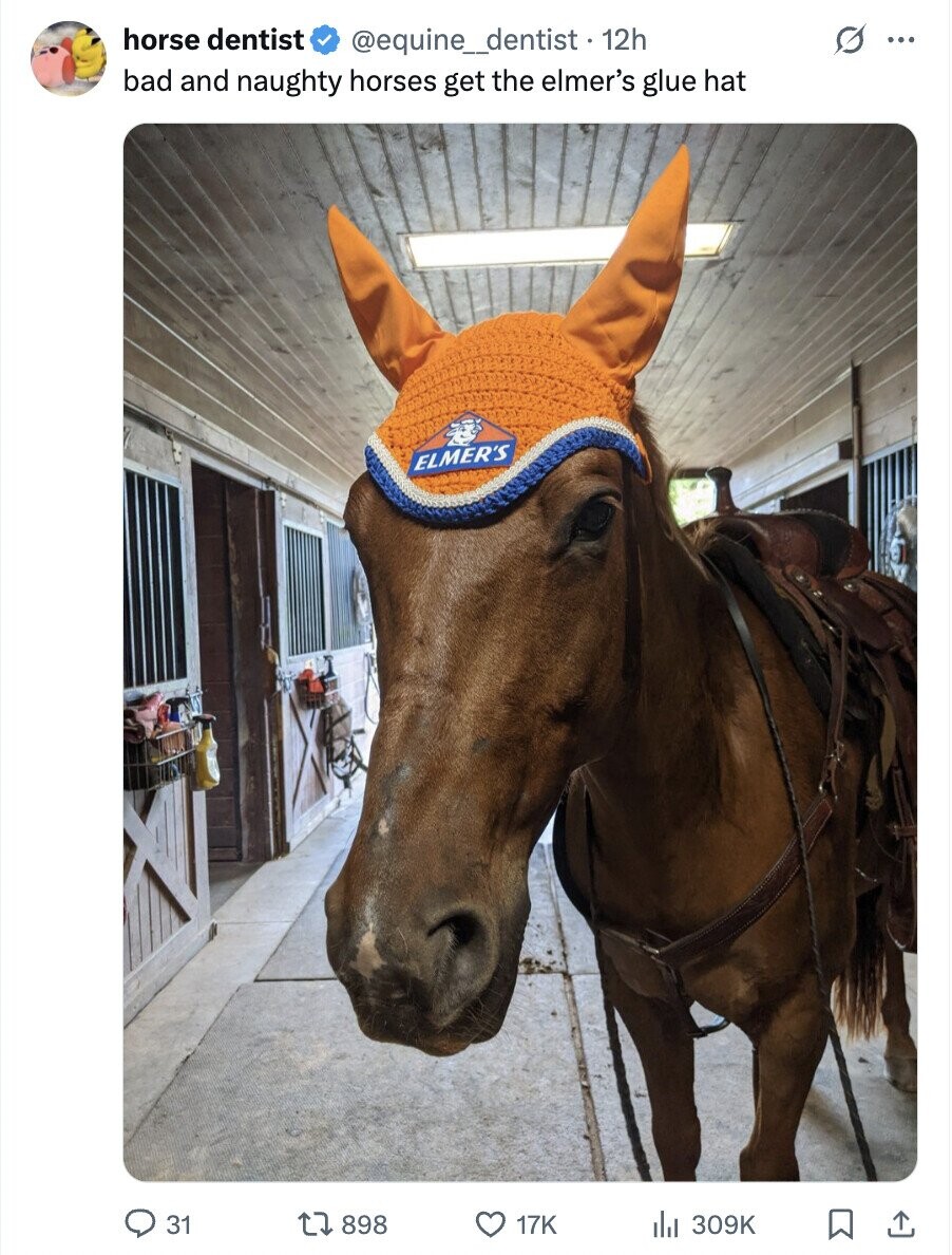 horse dentist @equine_dentist - 12h O ... bad and naughty horses get the elmer's glue hat ELMER'S 31 898 17K 309K