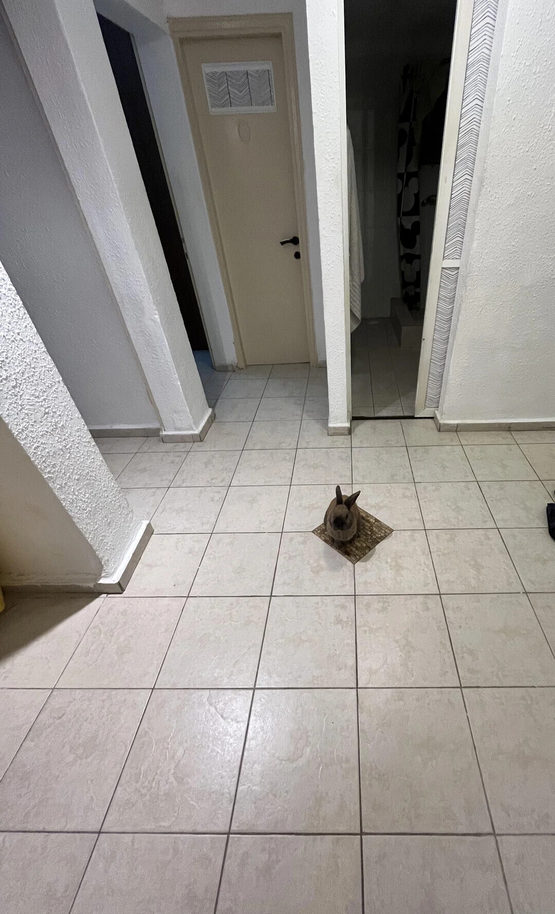 Photos Where Not Everything is as it Seems