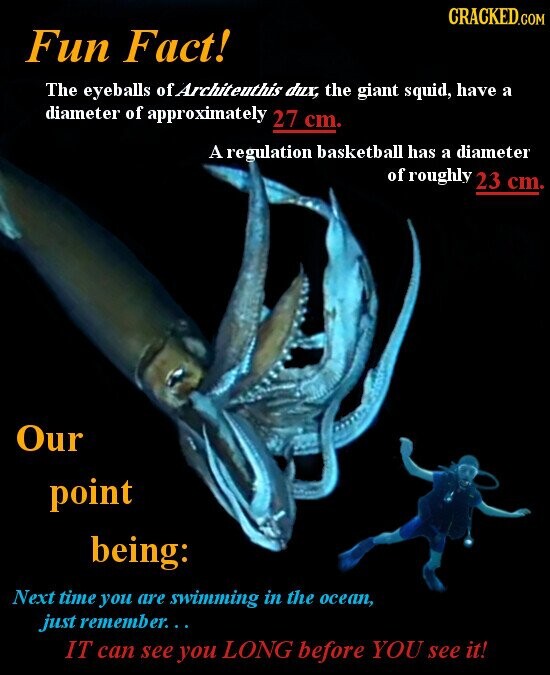 CRACKED.COM Fun Fact! The eyeballs of Architeuthis dux, the giant squid, have a diameter of approximately 27 cm. A regulation basketball has a diameter of roughly 23 cm. Our point being: Next time you are swimming in the ocean, just remember... IT can see you LONG before YOU see it!