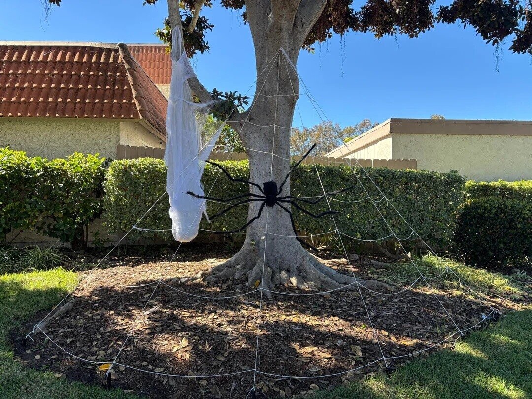 Photos Where the HOA Better Get Involved