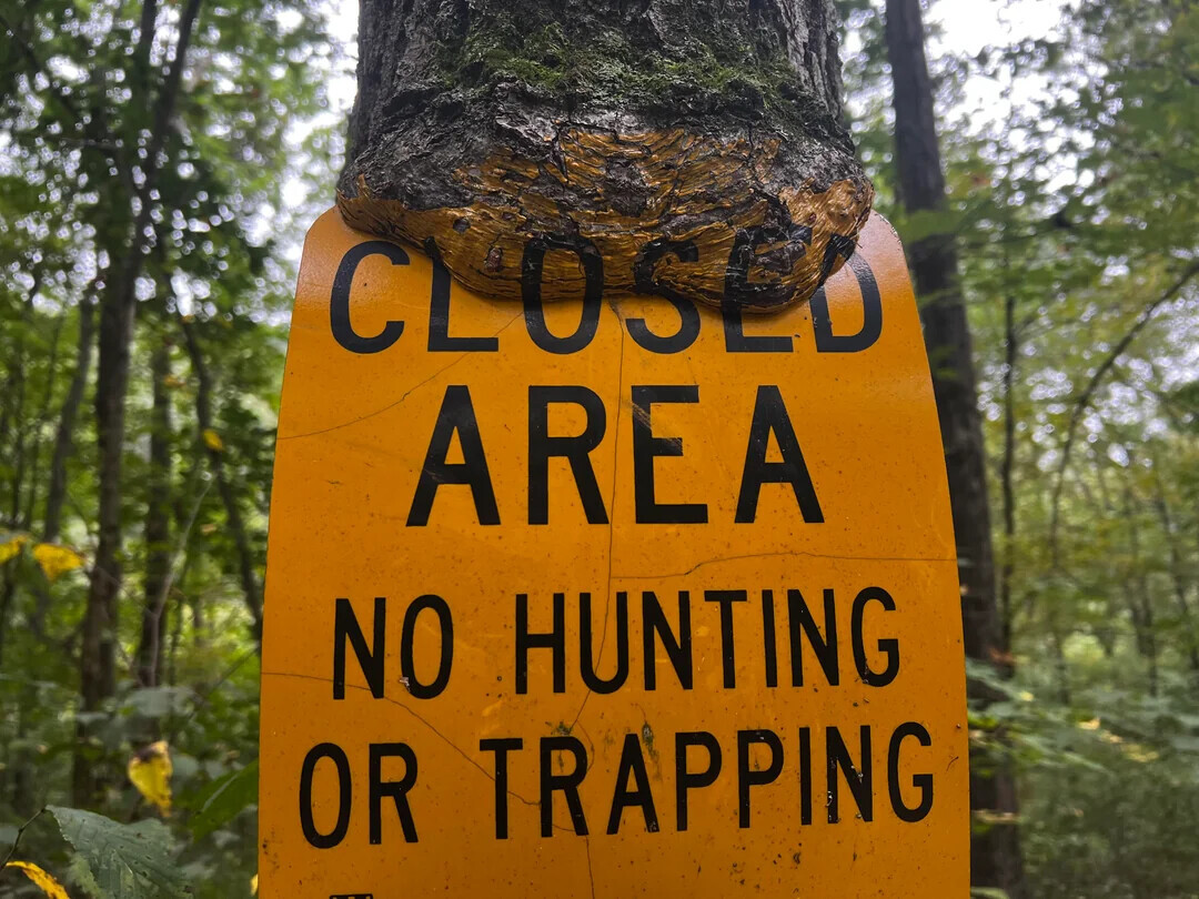 CLOSED AREA NO HUNTING OR TRAPPING