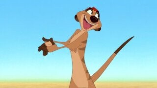45 Bits of Trivia About Animals That’ll Make You Want to Fashion A Loincloth and Join Tarzan in the Jungle