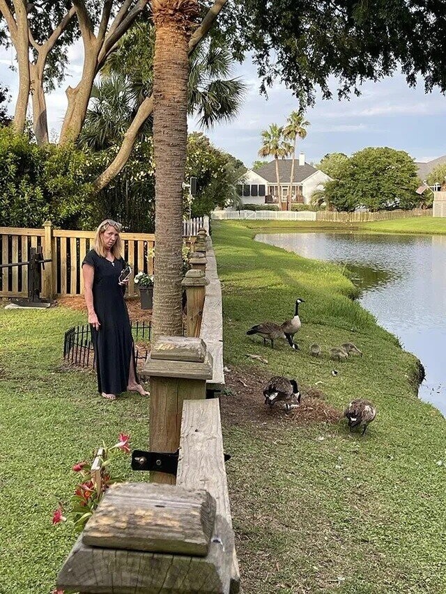 Photos Where the HOA Better Get Involved