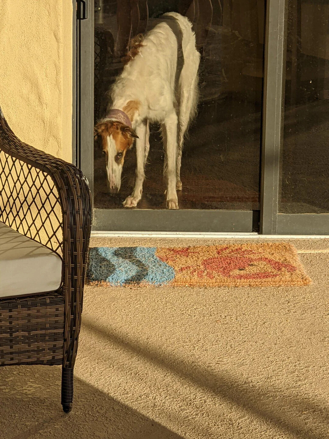 Photos Where Not Everything is as it Seems