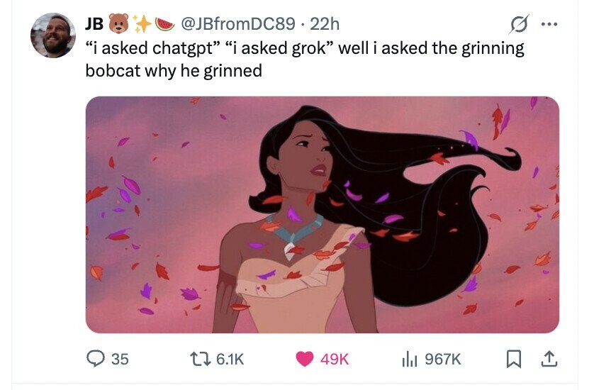 JB @JBfromDC89 . 2 22h ... i asked chatgpt i asked grok well i asked the grinning bobcat why he grinned 35 6.1K 49K del 967K