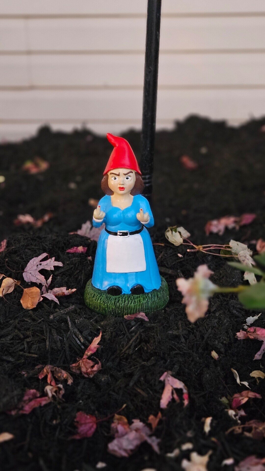 Photos Where the HOA Better Get Involved